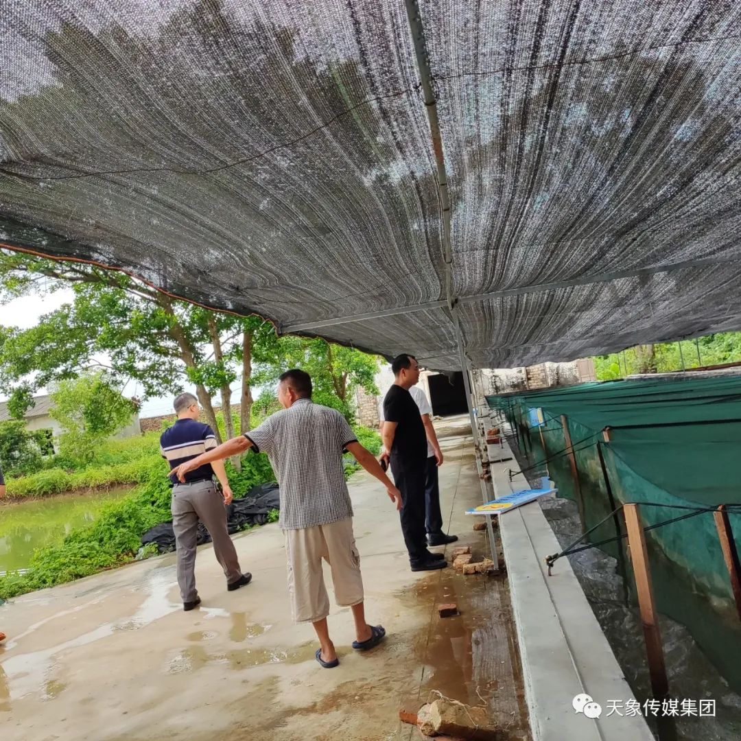 合浦县人大副主任花伟隆到党江镇蔬菜加工厂考察